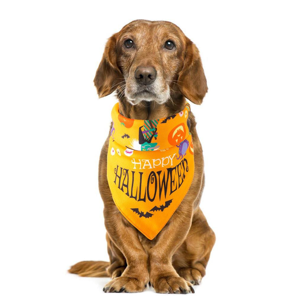 Spooky Paws Halloween Pet Saliva Towel