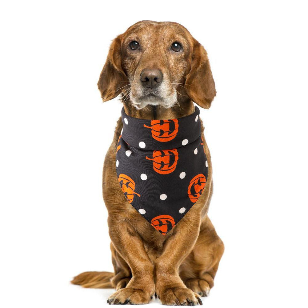 Spooky Paws Halloween Pet Saliva Towel