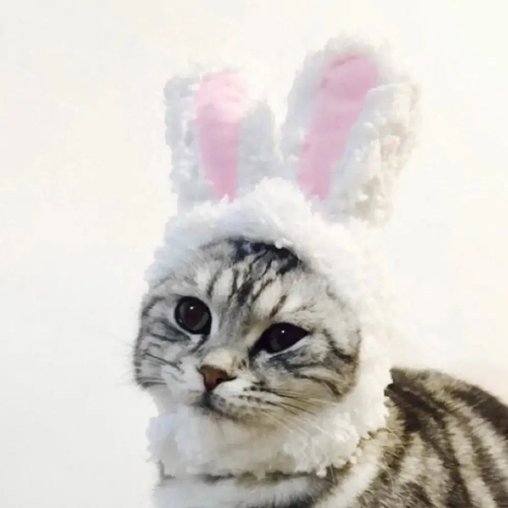 Bunny Rabbit Pet Costume for Cat and Small Dog