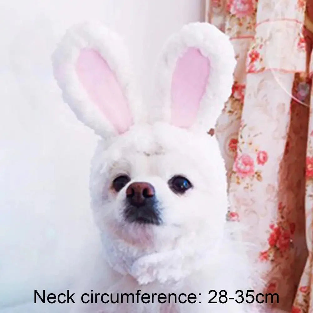 Bunny Rabbit Pet Costume for Cat and Small Dog