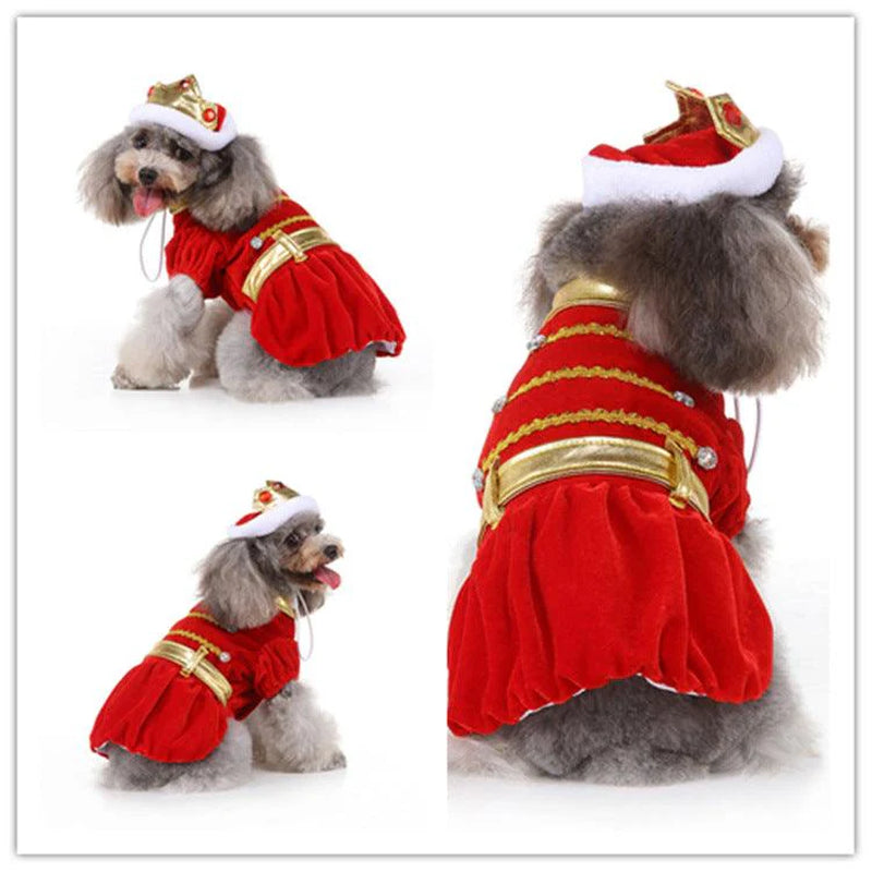 Funny Halloween Pet Costume: Personalized Dress up for Dogs in Acrylic Material