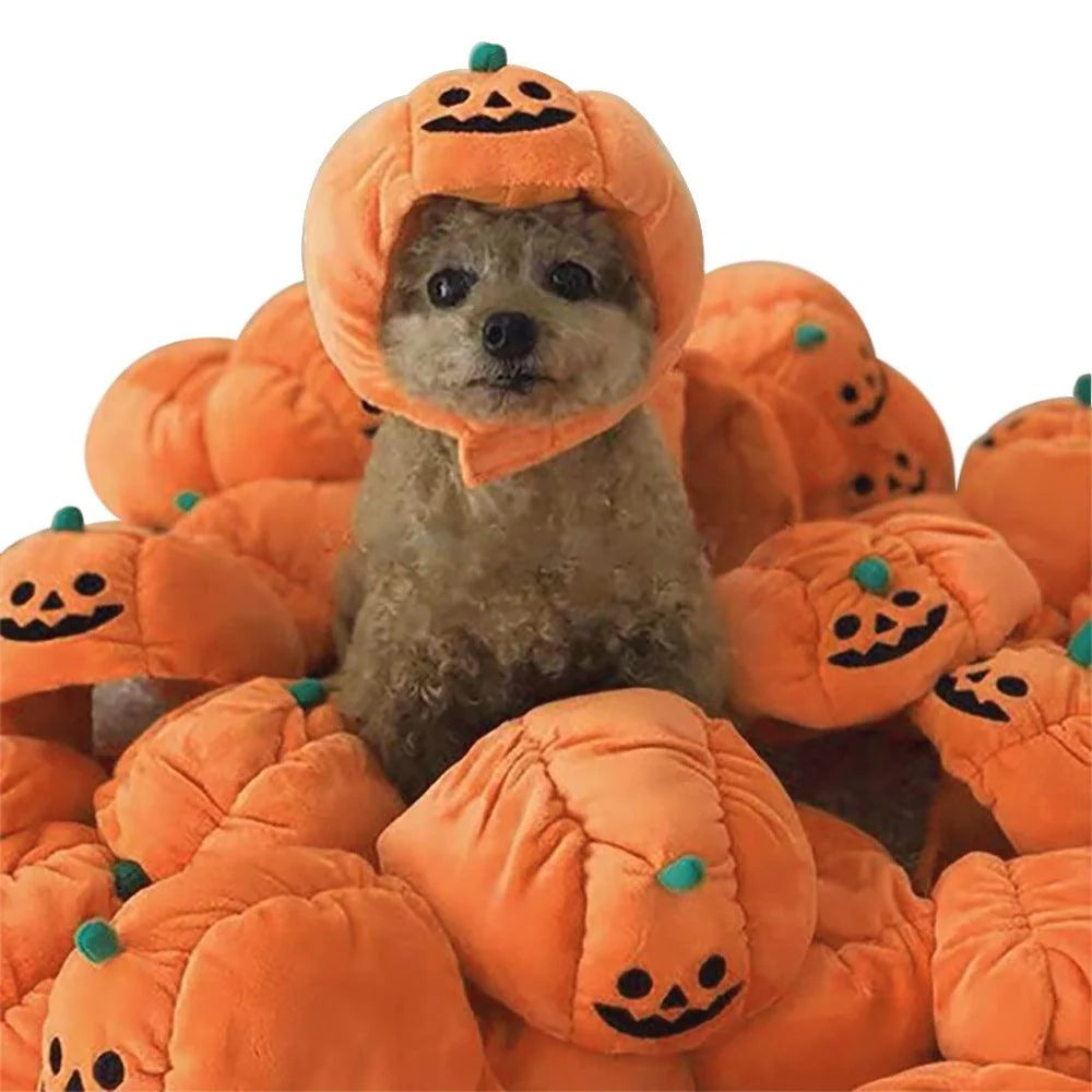 Purrfect Pumpkin Pet Hat: Adorable Halloween Costume for Cats and Small Dogs