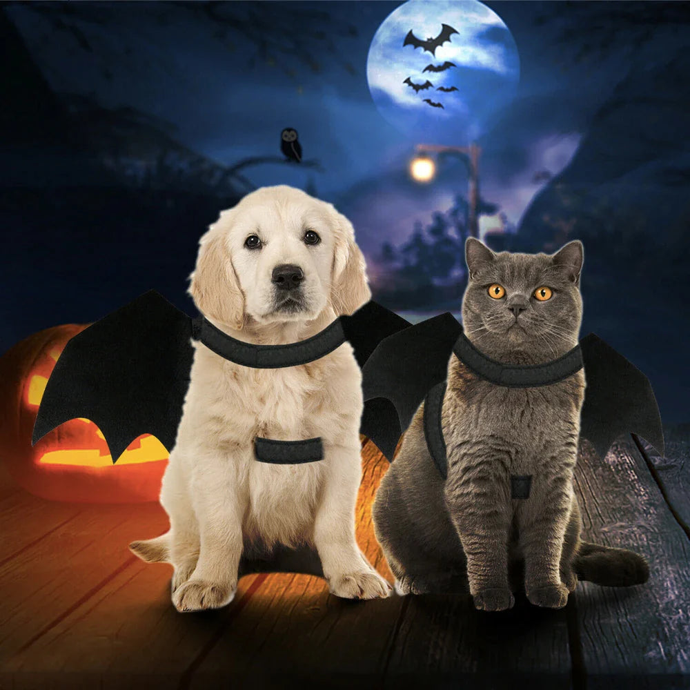 Pet Bat Wings Halloween Costume for Cats and Dogs