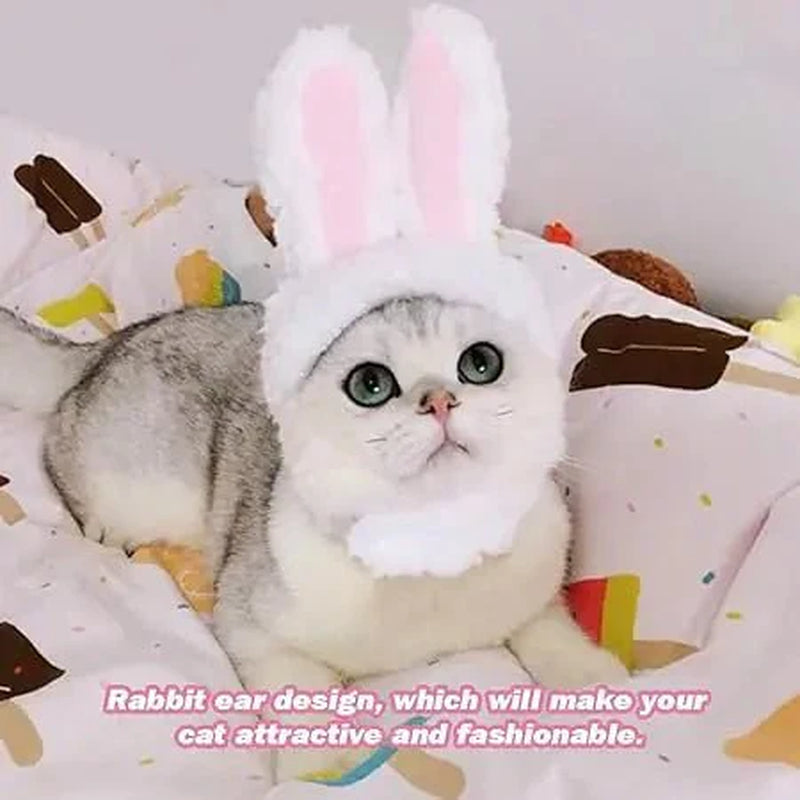 Bunny Rabbit Pet Costume for Cat and Small Dog