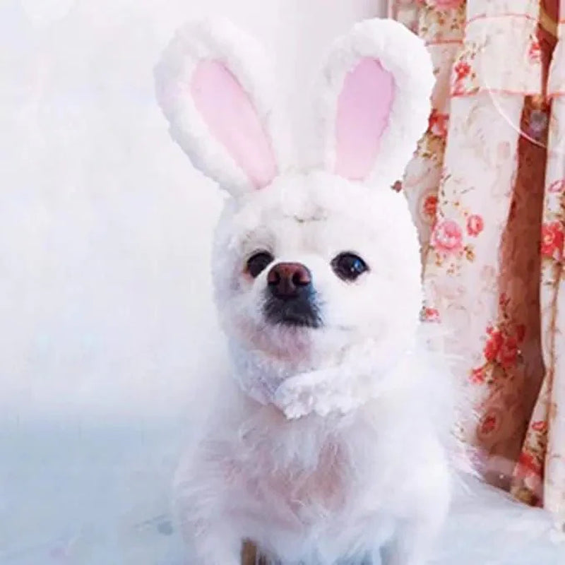 Bunny Rabbit Pet Costume for Cat and Small Dog