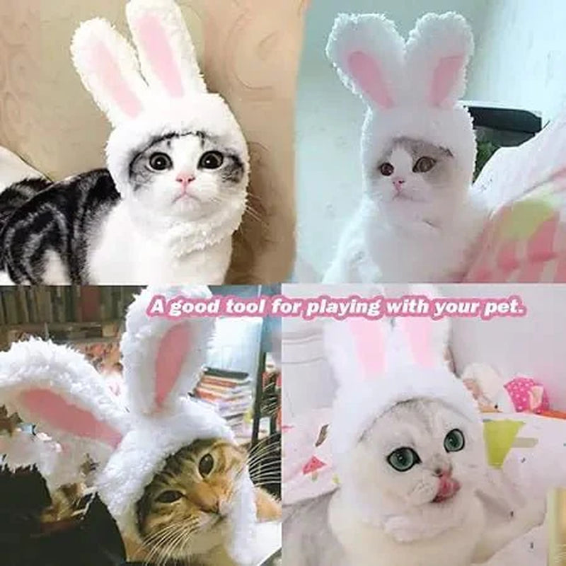 Bunny Rabbit Pet Costume for Cat and Small Dog