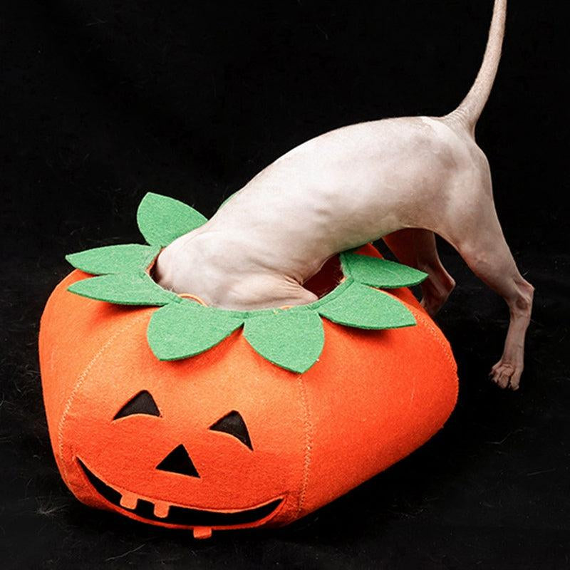 Halloween Pumpkin Pup Collar: Adorable Pet Cosplay Accessory for a Spooktacular Look!