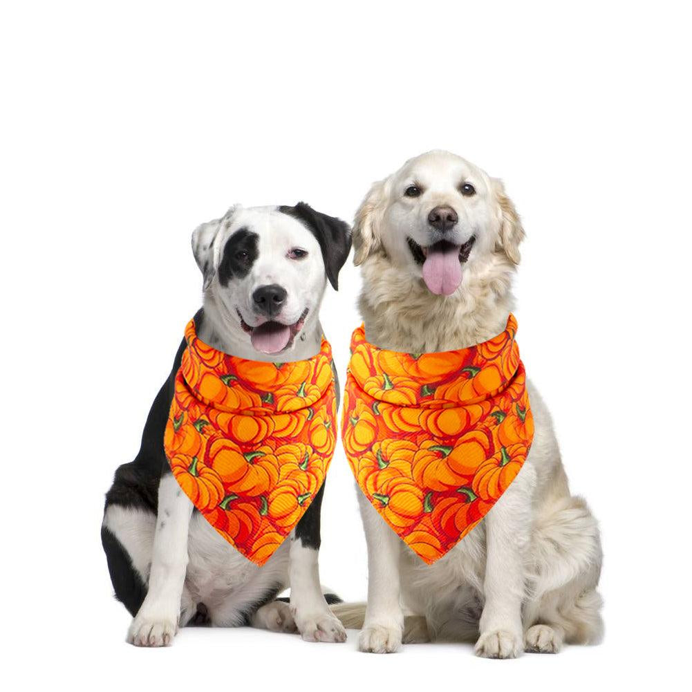 Spooky Paws Halloween Pet Saliva Towel