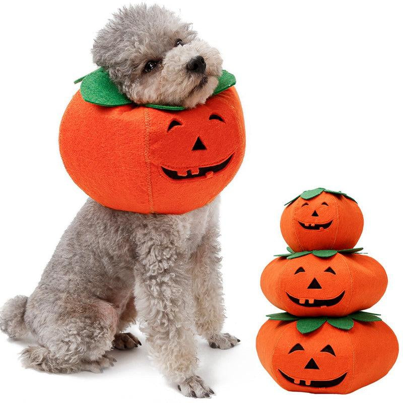 Halloween Pumpkin Pup Collar: Adorable Pet Cosplay Accessory for a Spooktacular Look!