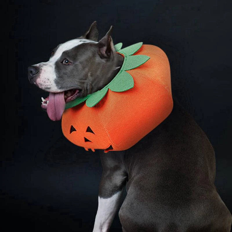 Halloween Pumpkin Pup Collar: Adorable Pet Cosplay Accessory for a Spooktacular Look!