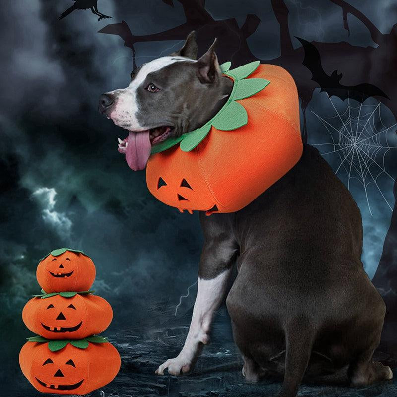 Halloween Pumpkin Pup Collar: Adorable Pet Cosplay Accessory for a Spooktacular Look!