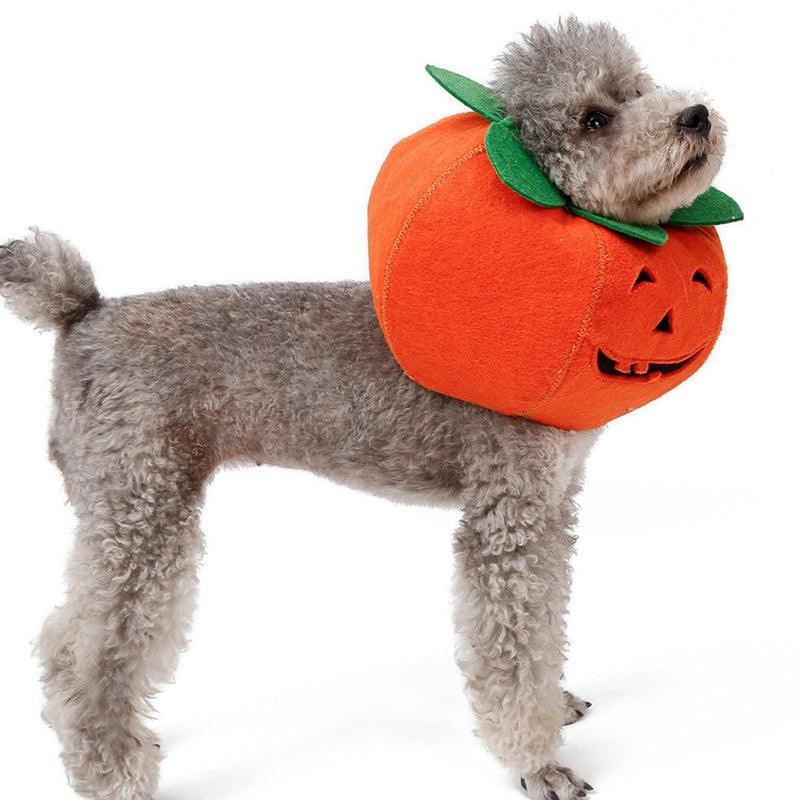 Halloween Pumpkin Pup Collar: Adorable Pet Cosplay Accessory for a Spooktacular Look!