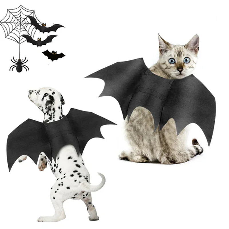 Pet Bat Wings Halloween Costume for Cats and Dogs