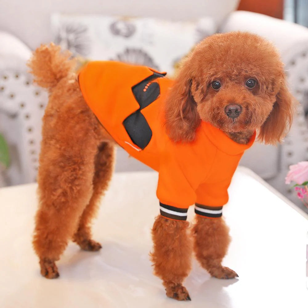 Halloween Pumpkin Dog Costume - Spooky and Stylish Pet Attire