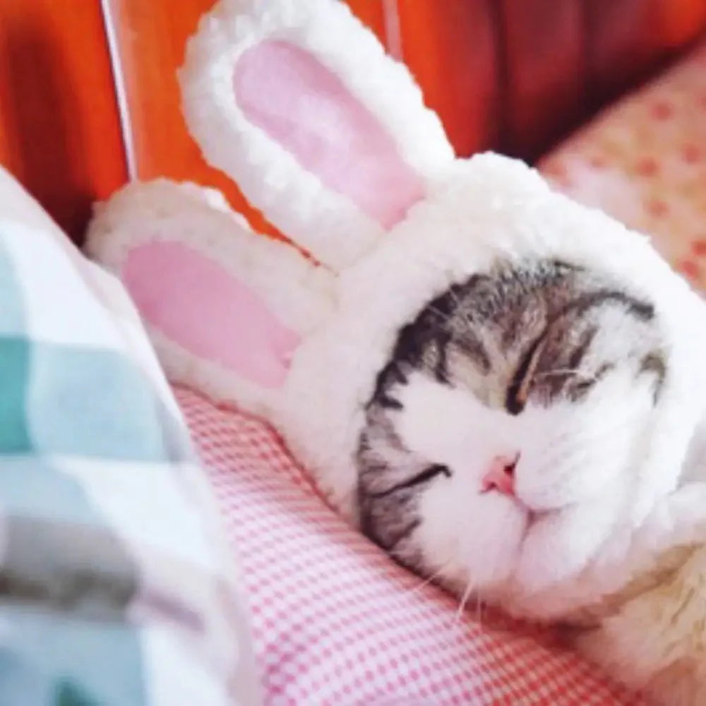 Bunny Rabbit Pet Costume for Cat and Small Dog