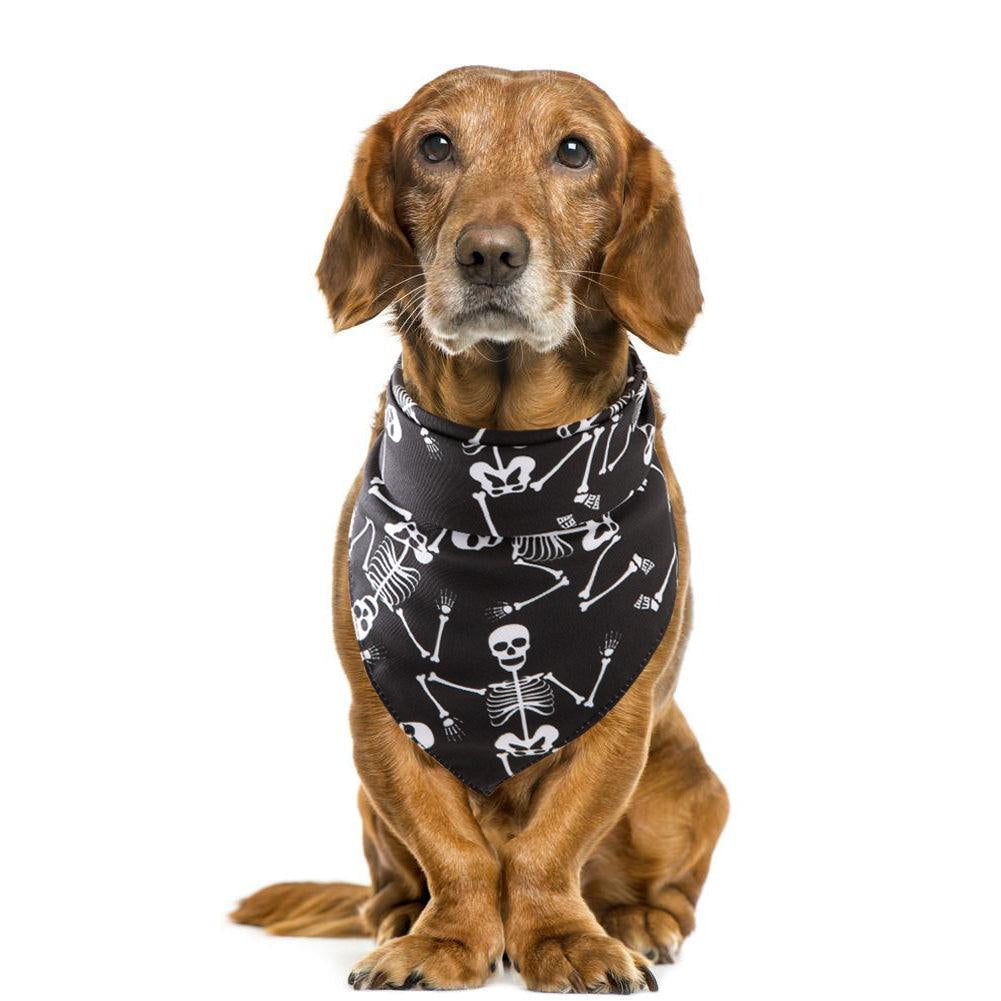 Spooky Paws Halloween Pet Saliva Towel